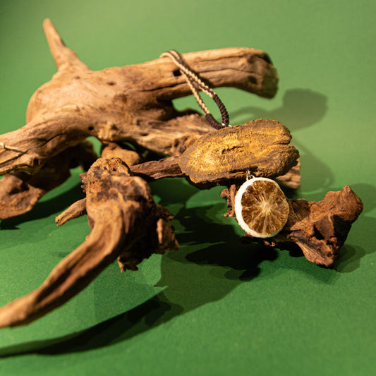 [Da Huang&Qing Ning] Handcrafted Chinese Herbal Pendant Necklace