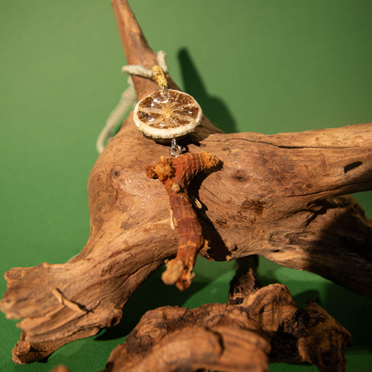 [Liang Jiang&Qing Ning] Handcrafted Chinese Herbal Pendant Necklace