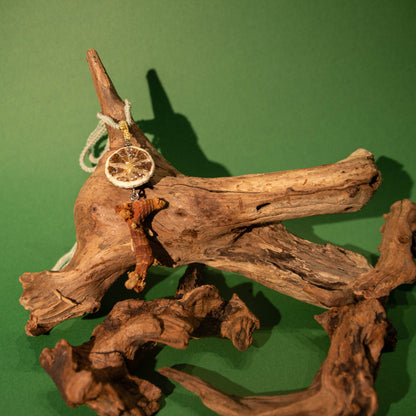 [Liang Jiang&Qing Ning] Handcrafted Chinese Herbal Pendant Necklace
