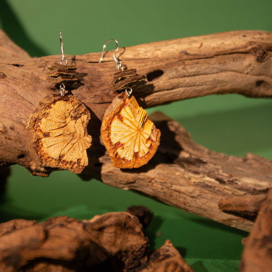 [Hong Hua Teng] Handmade Herbal Drop Earrings with Chinese Medicine Elements