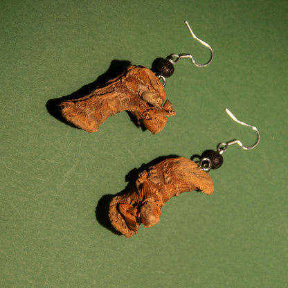 [Liang Jiang] Handmade Herbal Drop Earrings with Chinese Medicine Elements