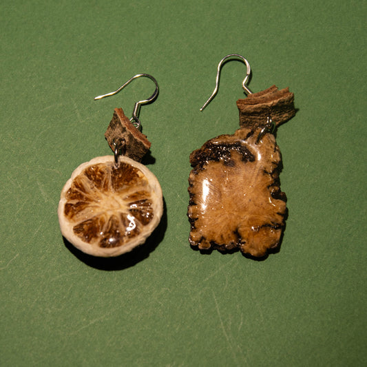 [Qing Ning&Chuan Xiong] Handmade Herbal Drop Earrings with Chinese Medicine Elements