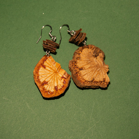 [Hong Hua Teng] Handmade Herbal Drop Earrings with Chinese Medicine Elements