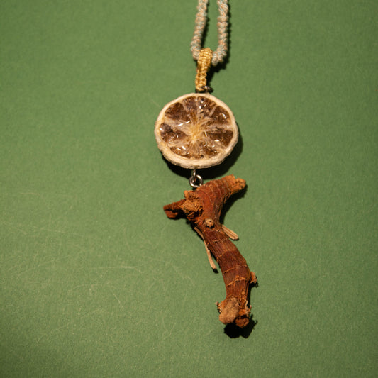 [Liang Jiang&Qing Ning] Handcrafted Chinese Herbal Pendant Necklace