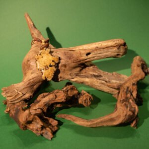 ”CHUAN XIONG" Necklace, Hand-Made Natural Materials, 925 silver joint - Image 3