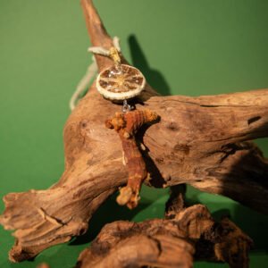 ”Liang Jiang"&Lime Necklace, Hand-Made Natural Materials, 925 silver joint - Image 2
